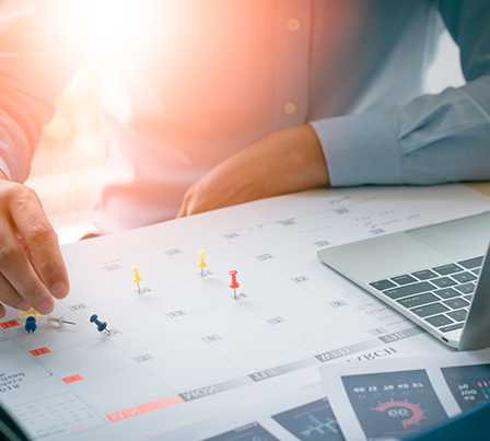 Project Management Consulting